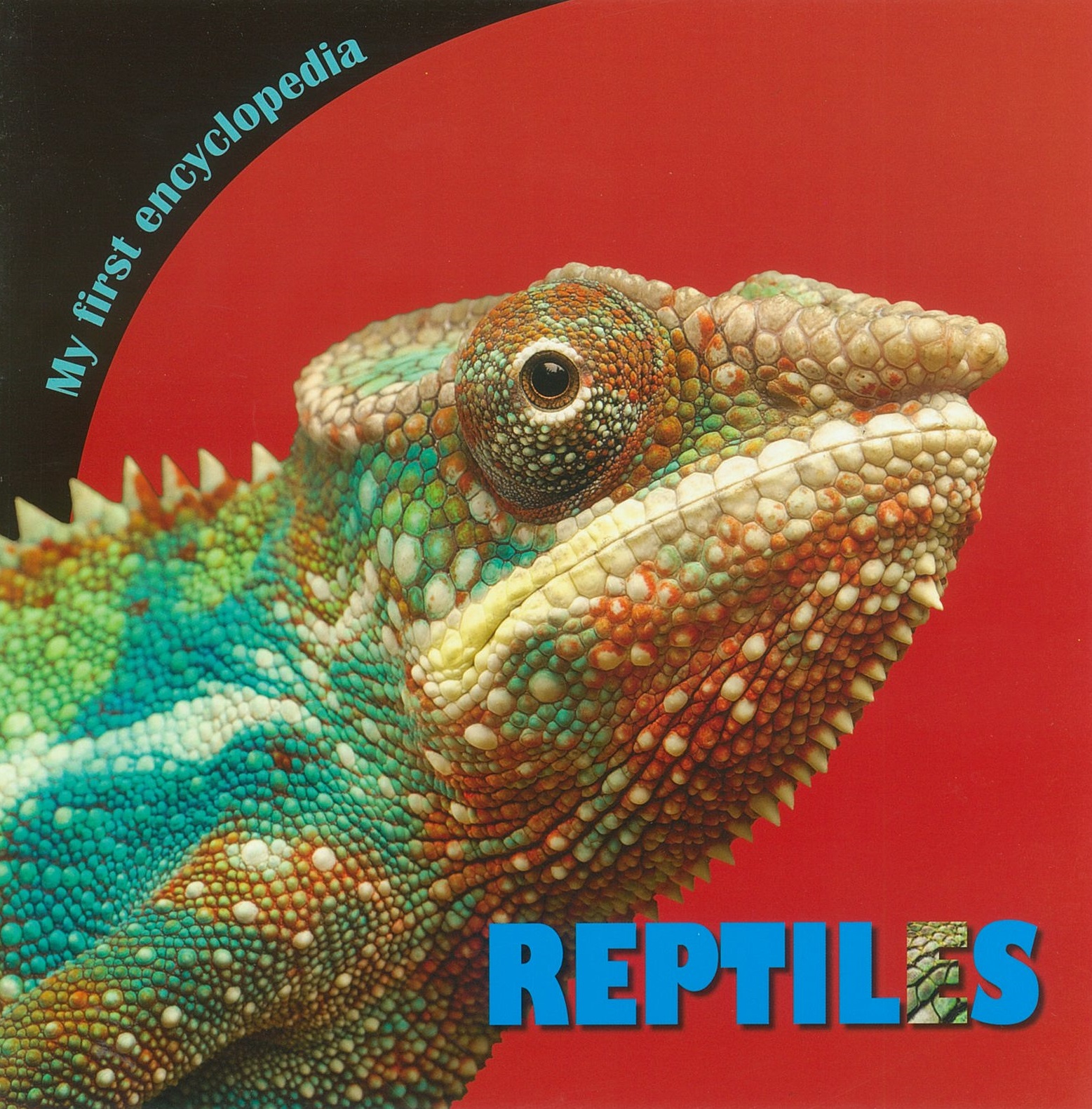 MFE Reptiles